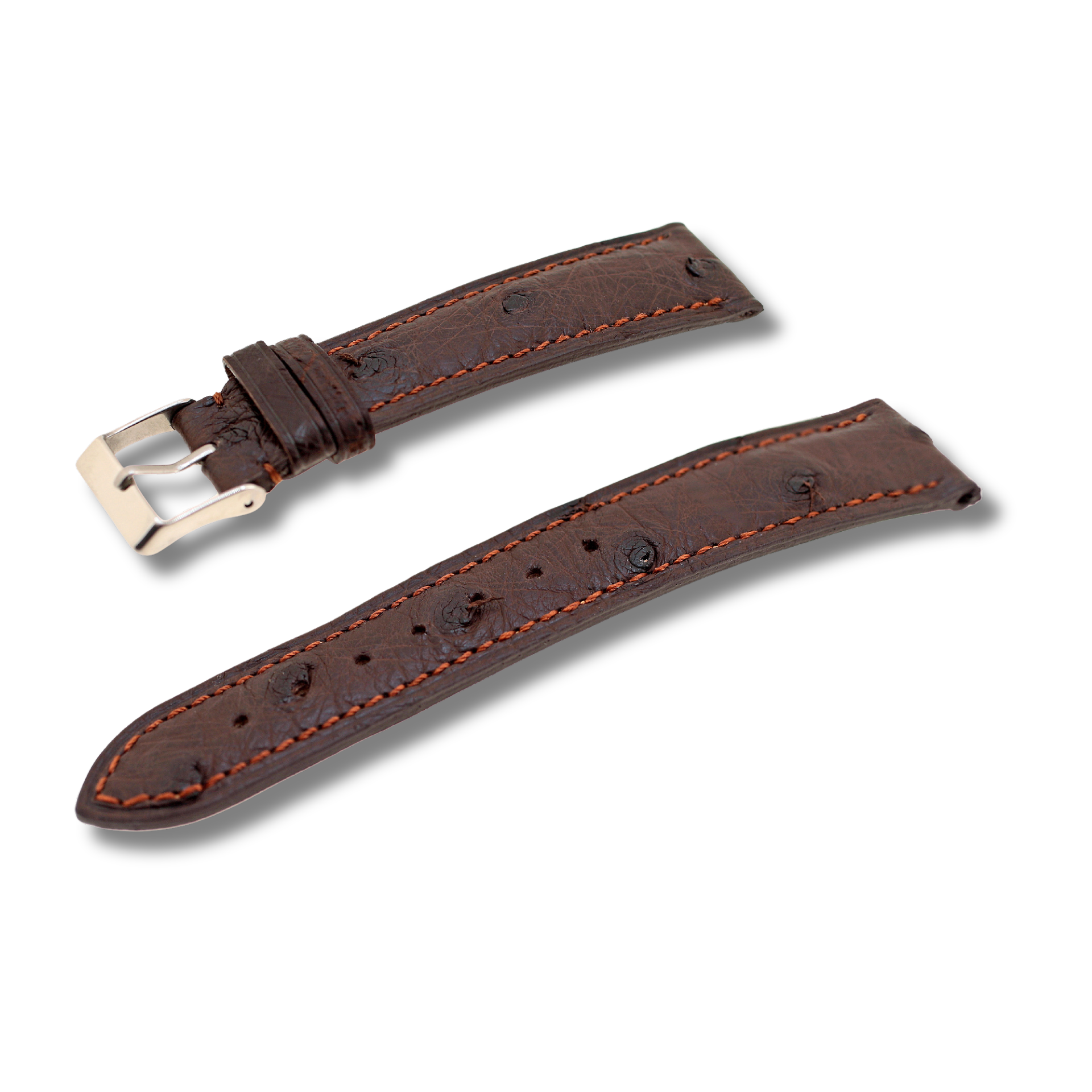 Correa reloj cuero avestruz exotica igormo 500060